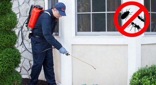 Baykan Dezenfeksiyon böcek ilaçlama ve haşere kontrolü — ilaclama-tr.com